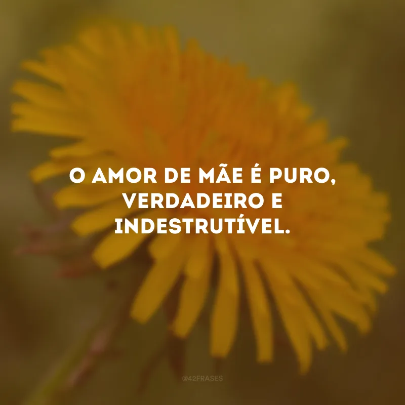 O amor de mãe é puro, verdadeiro e indestrutível. 