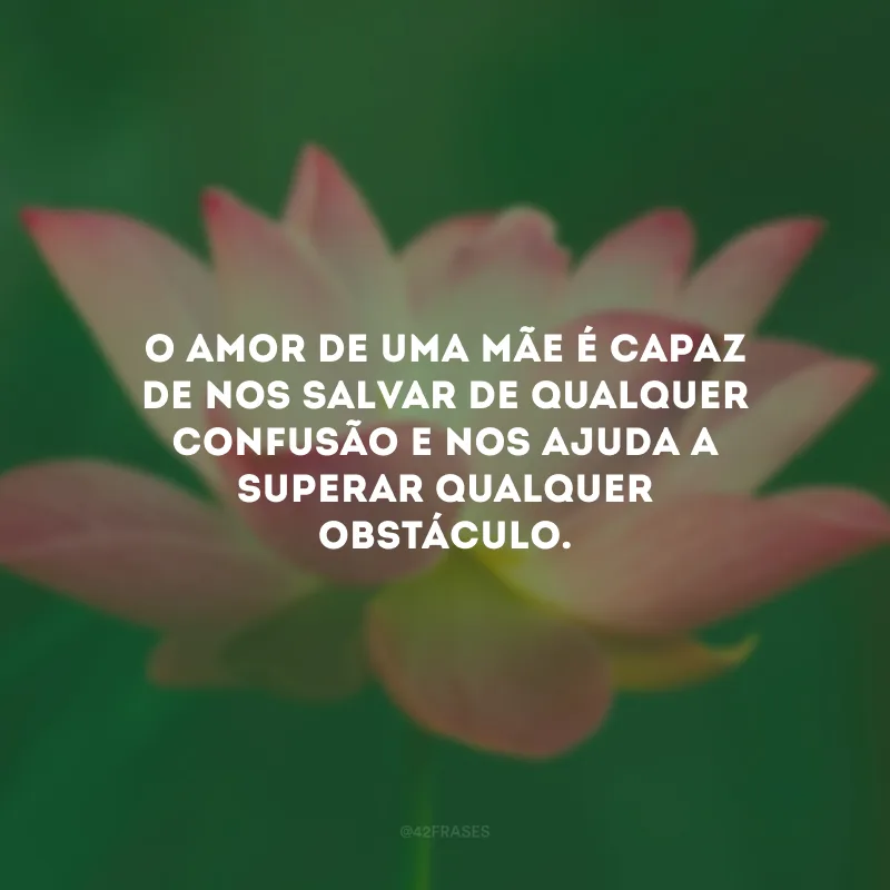 O amor de uma mãe é capaz de nos salvar de qualquer confusão e nos ajuda a superar qualquer obstáculo. 