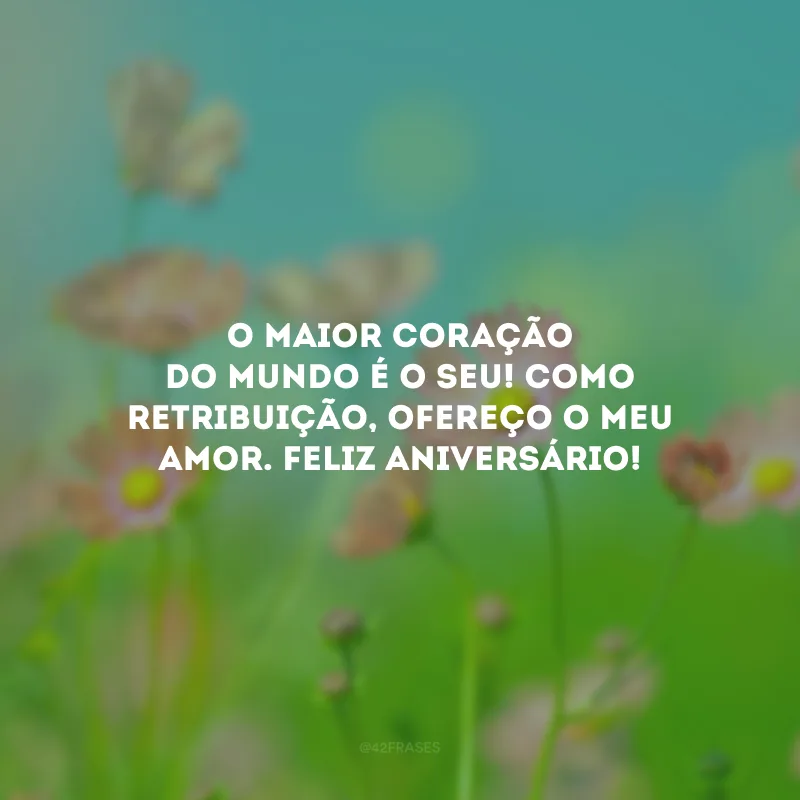 O maior coração do mundo é o seu! Como retribuição, ofereço o meu amor. Feliz aniversário!