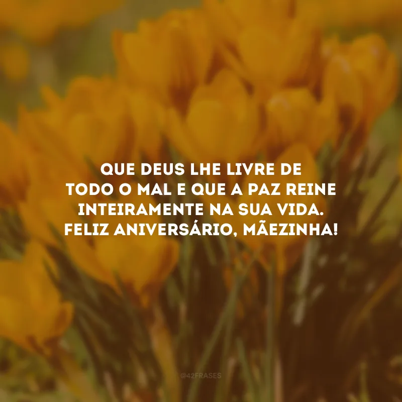 Que Deus lhe livre de todo o mal e que a paz reine inteiramente na sua vida. Feliz aniversário, mãezinha!