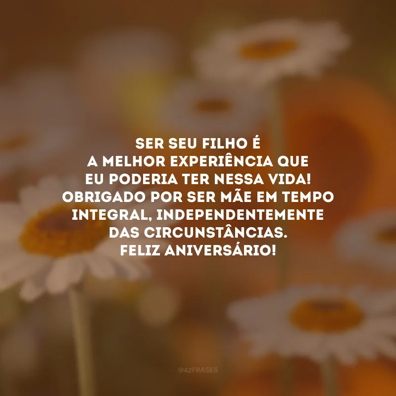 Ser seu filho é a melhor experiência que eu poderia ter nessa vida! Obrigado por ser mãe em tempo integral, independentemente das circunstâncias. Feliz aniversário!