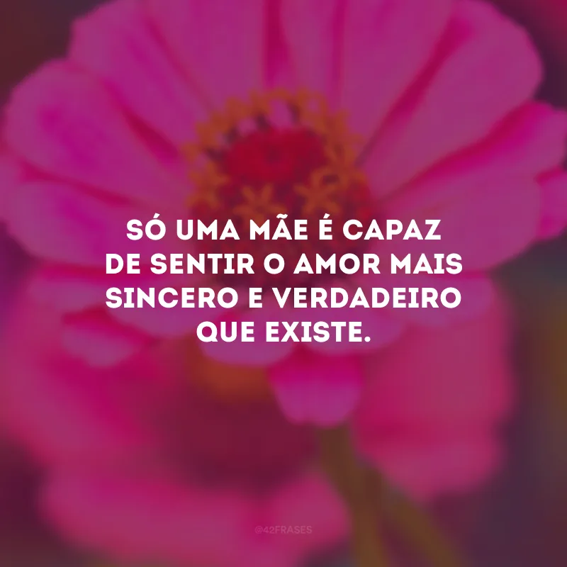 Só uma mãe é capaz de sentir o amor mais sincero e verdadeiro que existe. 