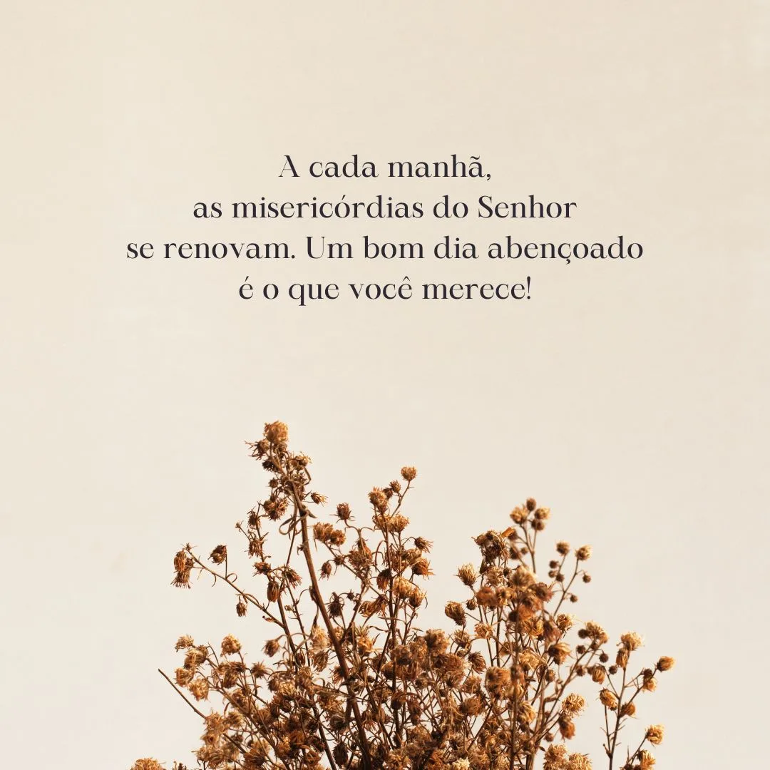 A cada manhã, as misericórdias do Senhor se renovam. Um bom dia abençoado é o que você merece!