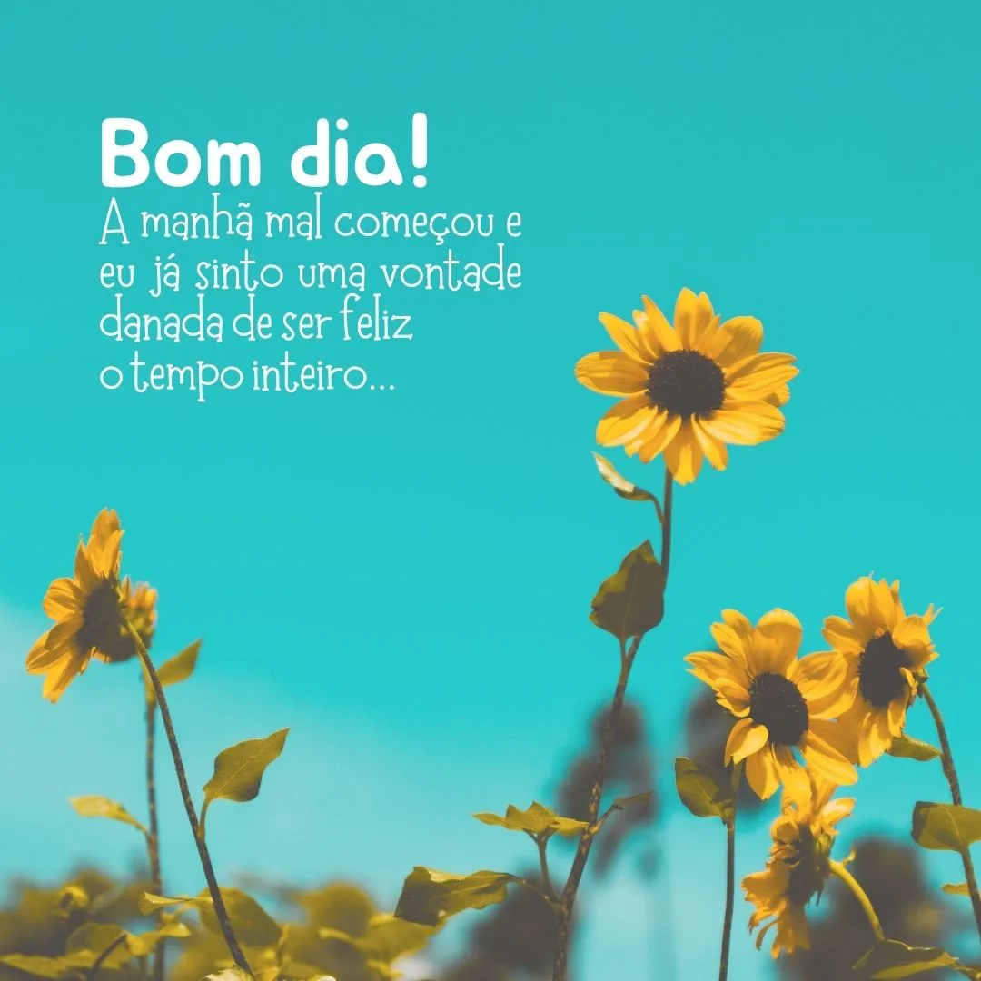 Bom dia! A manhã mal começou e eu já sinto uma vontade danada de ser feliz o tempo inteiro...