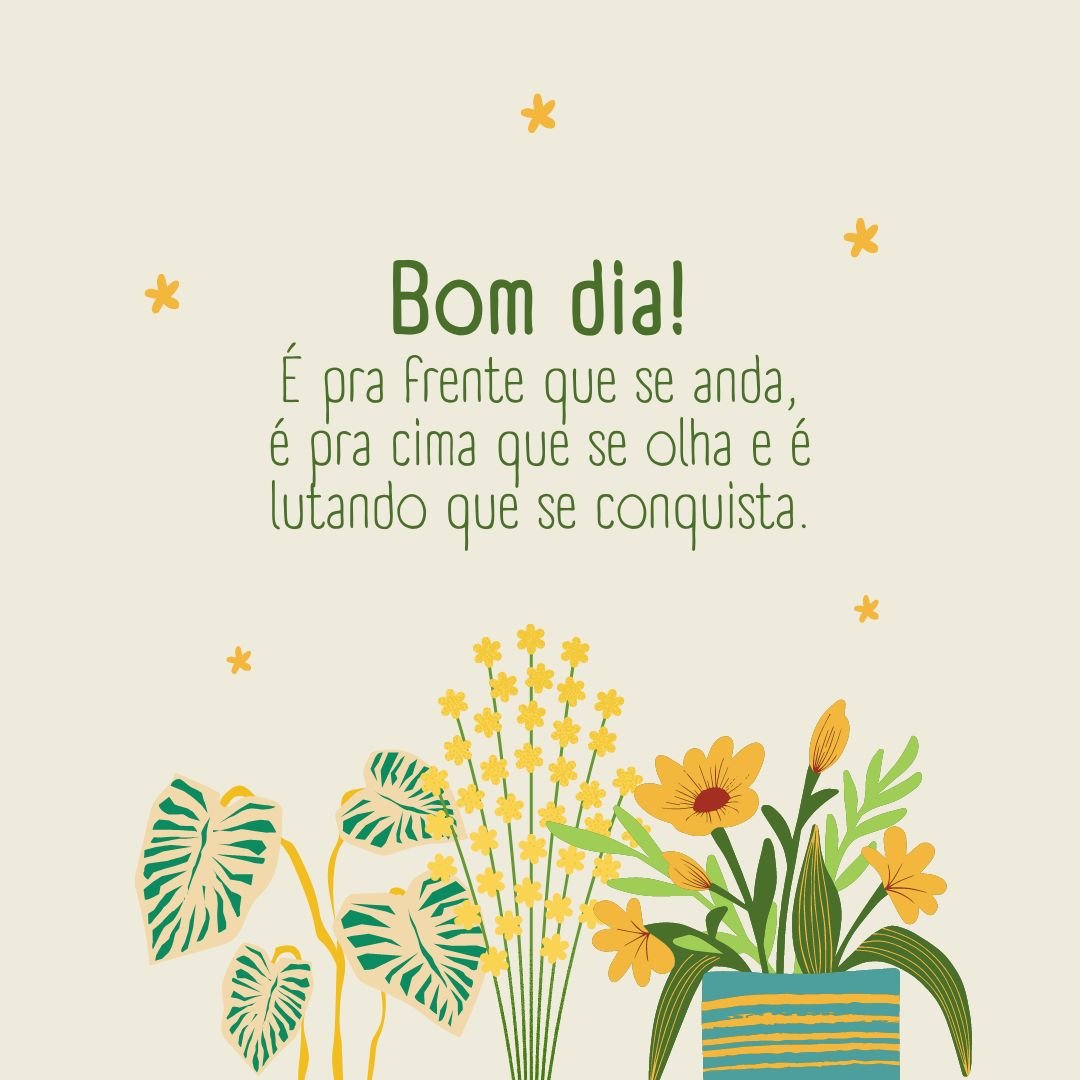 Bom dia! É pra frente que se anda, é pra cima que se olha e é lutando que se conquista. 