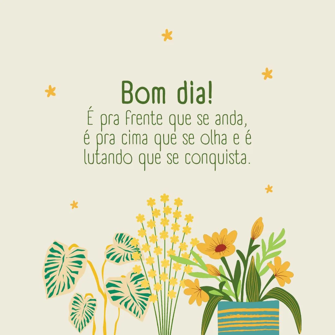 Bom dia! É pra frente que se anda, é pra cima que se olha e é lutando que se conquista. 