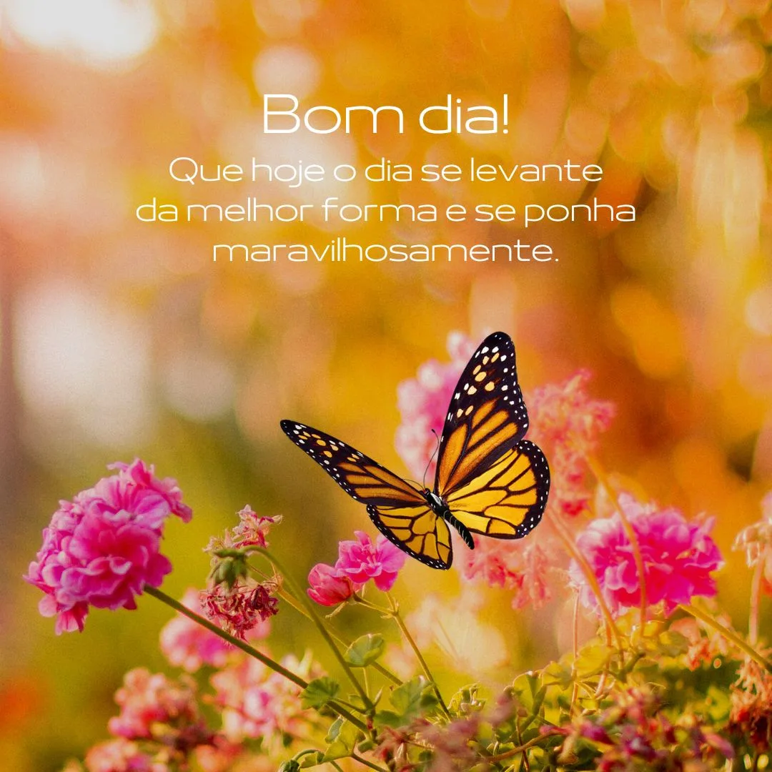Bom dia! Que hoje o dia se levante da melhor forma e se ponha maravilhosamente.