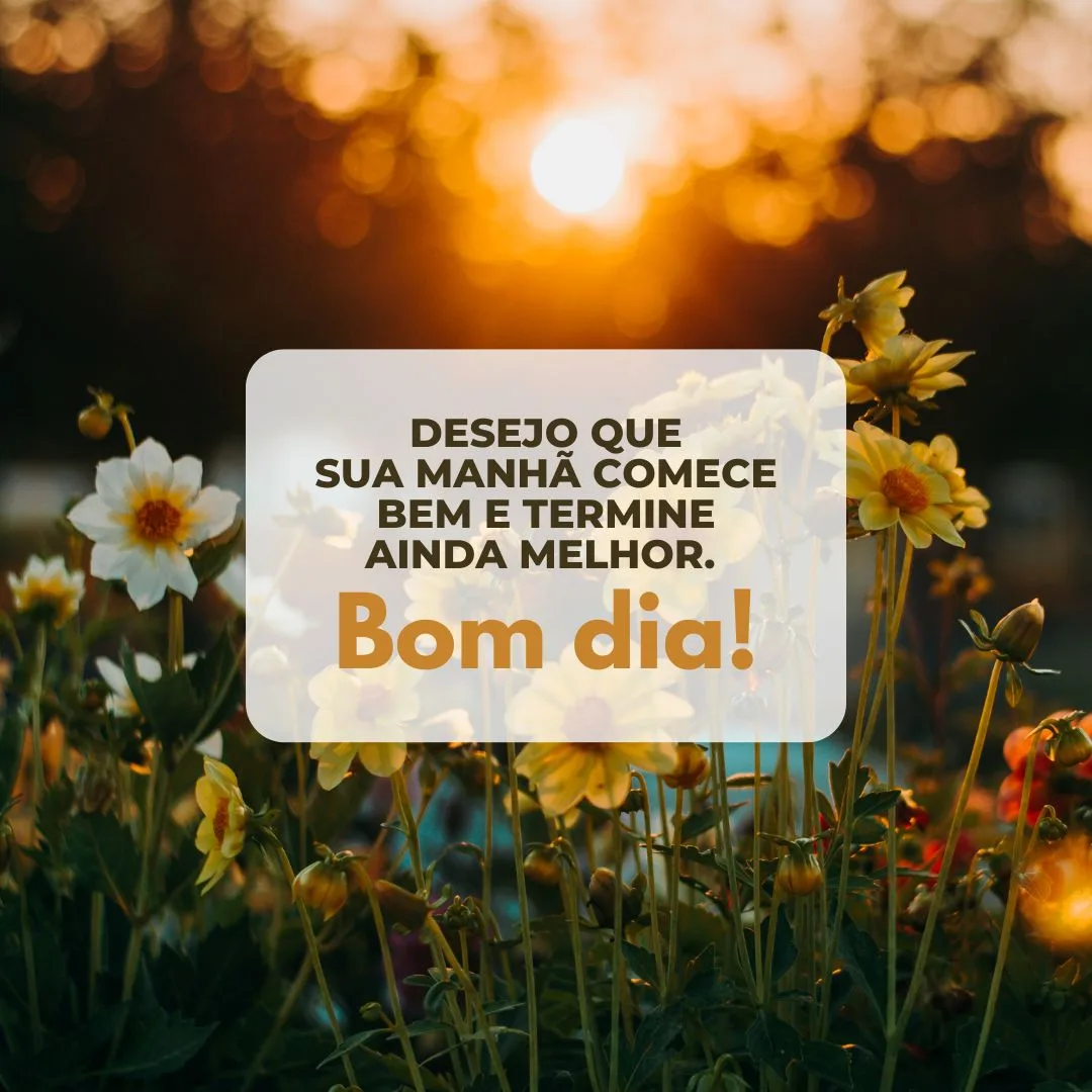 Desejo que sua manhã comece bem e termine ainda melhor. Bom dia!