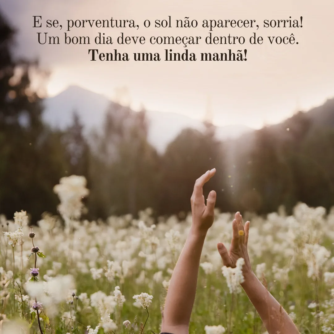 E se, porventura, o sol não aparecer, sorria! Um bom dia deve começar dentro de você. Tenha uma linda manhã!