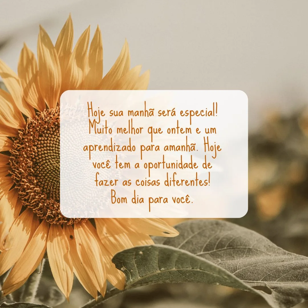Hoje sua manhã será especial! Muito melhor que ontem e um aprendizado para amanhã. Hoje você tem a oportunidade de fazer as coisas diferentes! Bom dia para você.