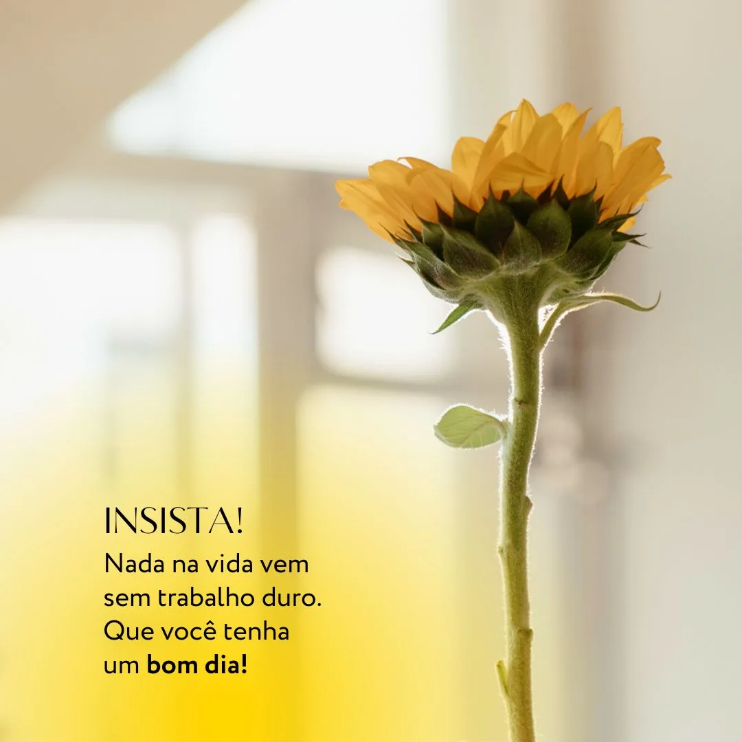 Insista! Nada na vida vem sem trabalho duro. Que você tenha um bom dia!
