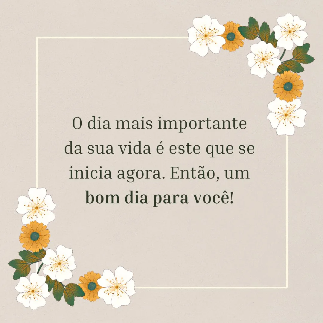 O dia mais importante da sua vida é este que se inicia agora. Então, um bom dia para você!