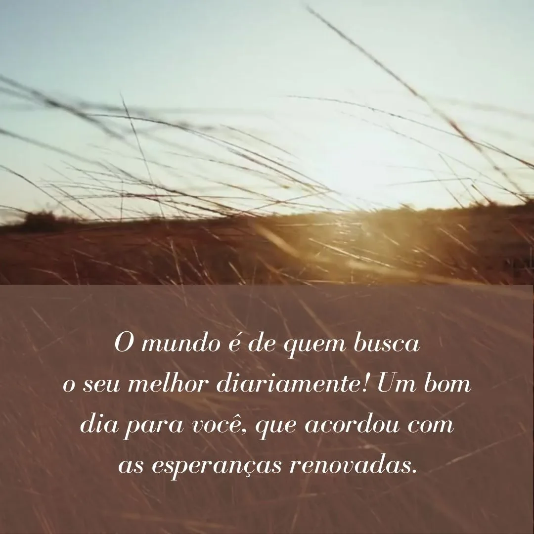 O mundo é de quem busca o seu melhor diariamente! Um bom dia para você, que acordou com as esperanças renovadas.