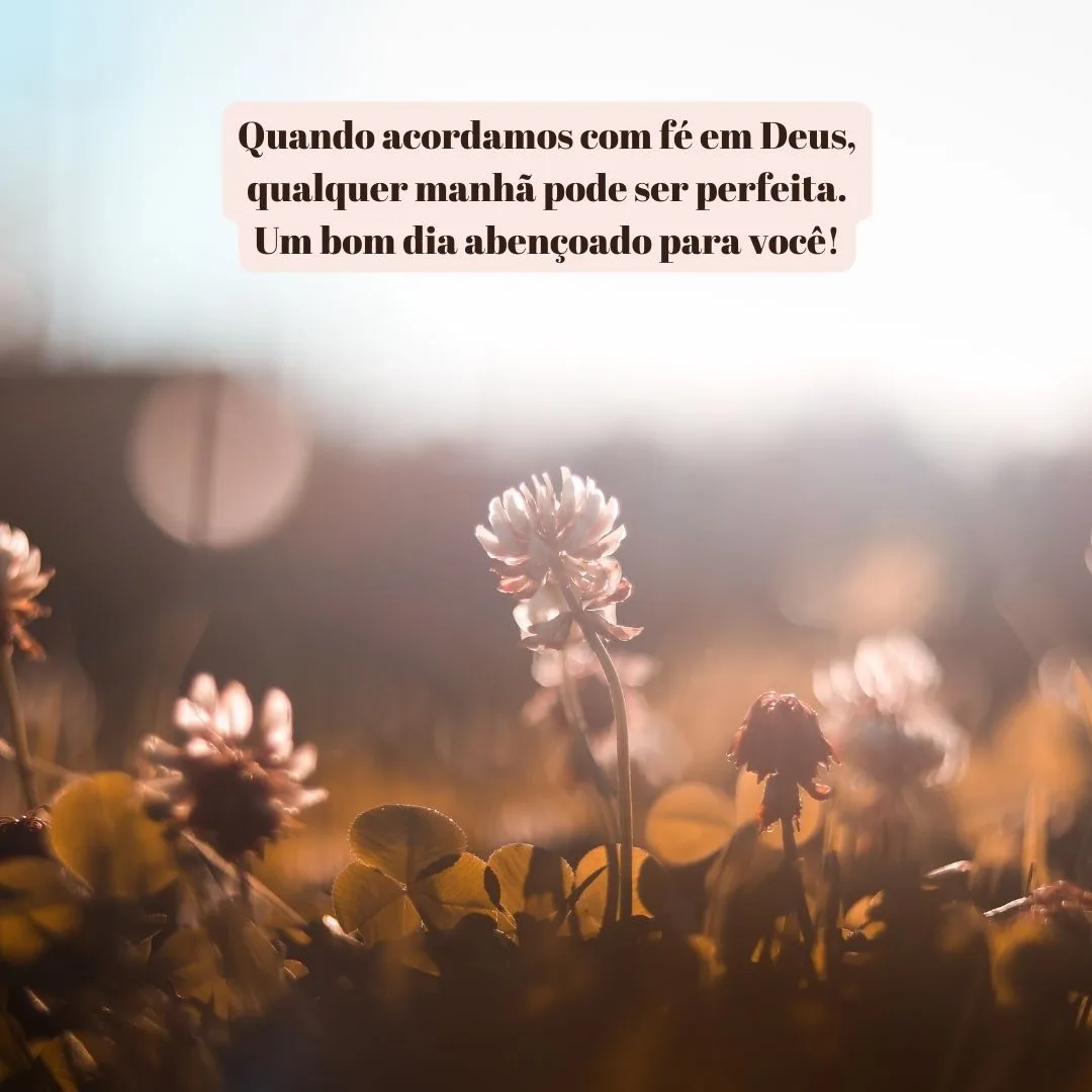 Quando acordamos com fé em Deus, qualquer manhã pode ser perfeita. Um bom dia abençoado para você!