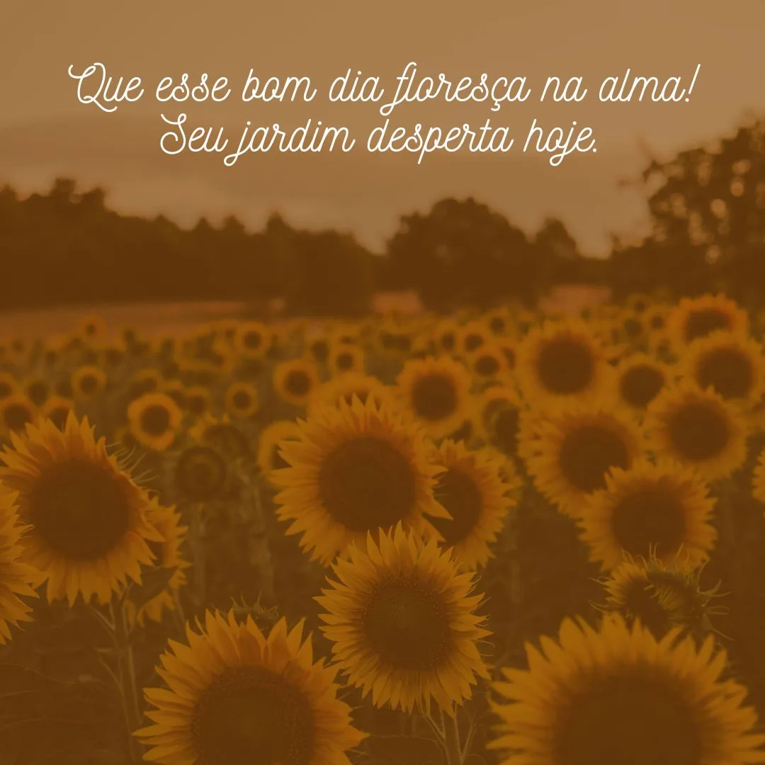 Que esse bom dia floresça na alma! Seu jardim desperta hoje.