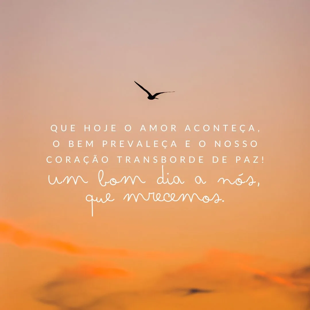 Que hoje o amor aconteça, o bem prevaleça e o nosso coração transborde de paz! Um bom dia a nós, que merecemos.