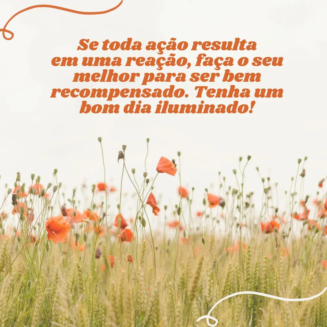 Se toda ação resulta em uma reação, faça o seu melhor para ser bem recompensado. Tenha um bom dia iluminado!