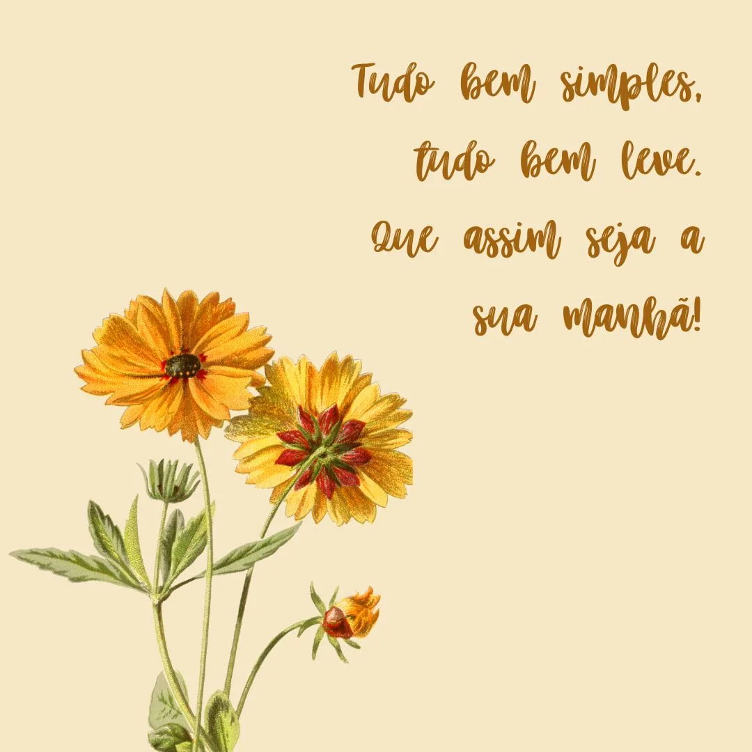 Tudo bem simples, tudo bem leve. Que assim seja a sua manhã!