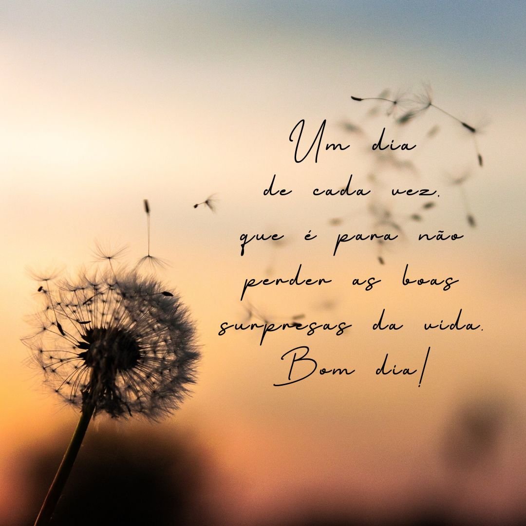 Um dia de cada vez, que é para não perder as boas surpresas da vida. Bom dia!