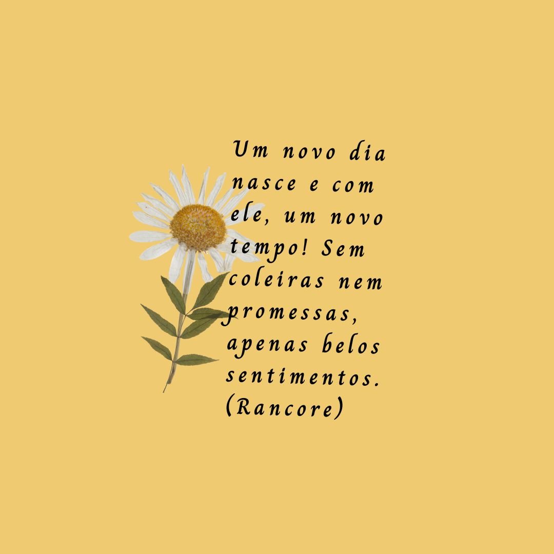 Um novo dia nasce e com ele, um novo tempo! Sem coleiras nem promessas, apenas belos sentimentos.