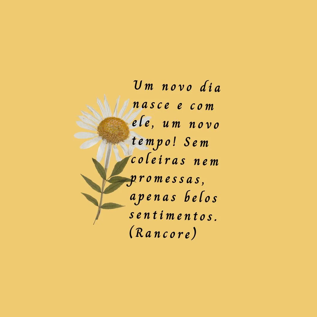 Um novo dia nasce e com ele, um novo tempo! Sem coleiras nem promessas, apenas belos sentimentos.