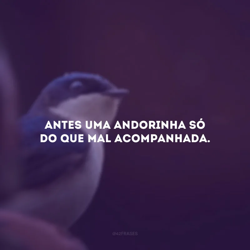 Antes uma andorinha só do que mal acompanhada.