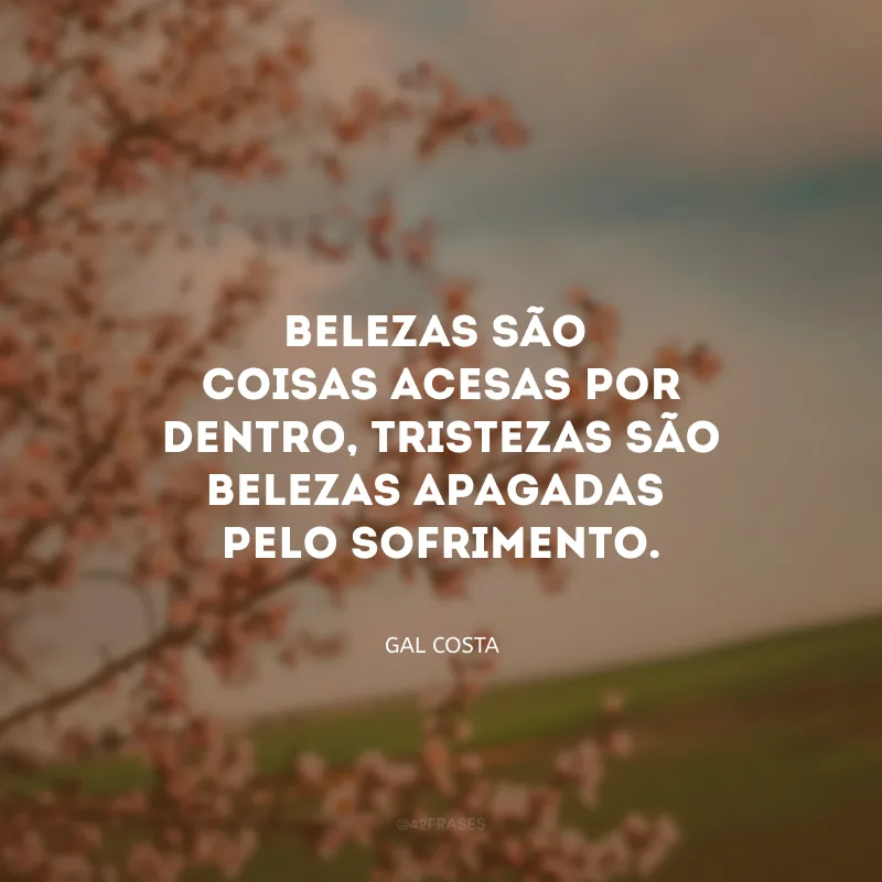 Belezas são coisas acesas por dentro, tristezas são belezas apagadas pelo sofrimento.