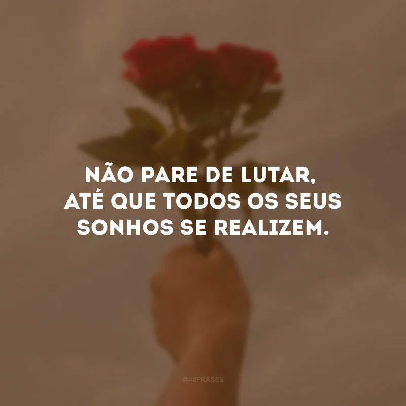 Não pare de lutar, até que todos os seus sonhos se realizem.