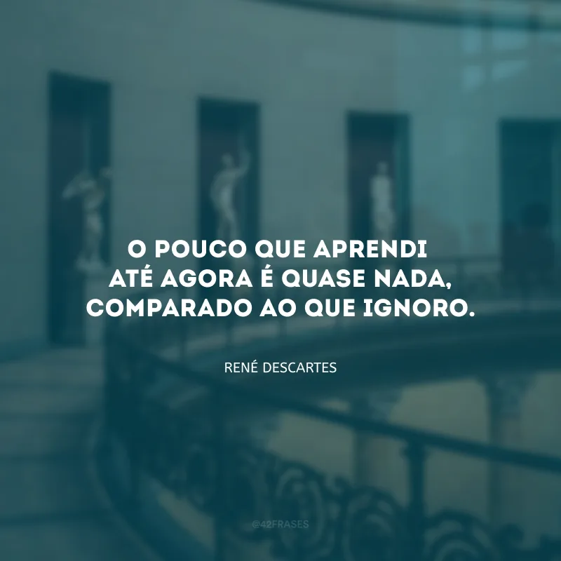 O pouco que aprendi até agora é quase nada, comparado ao que ignoro.