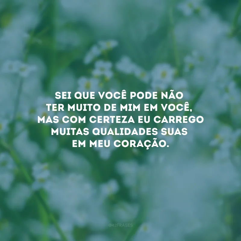 Sei que você pode não ter muito de mim em você, mas com certeza eu carrego muitas qualidades suas em meu coração.