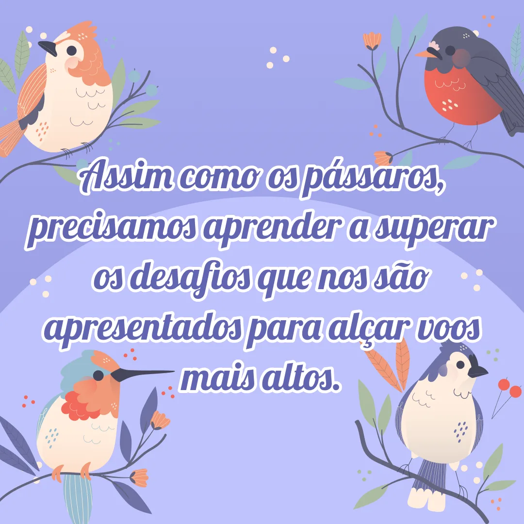 Assim como os pássaros, precisamos aprender a superar os desafios que nos são apresentados para alçar voos mais altos.