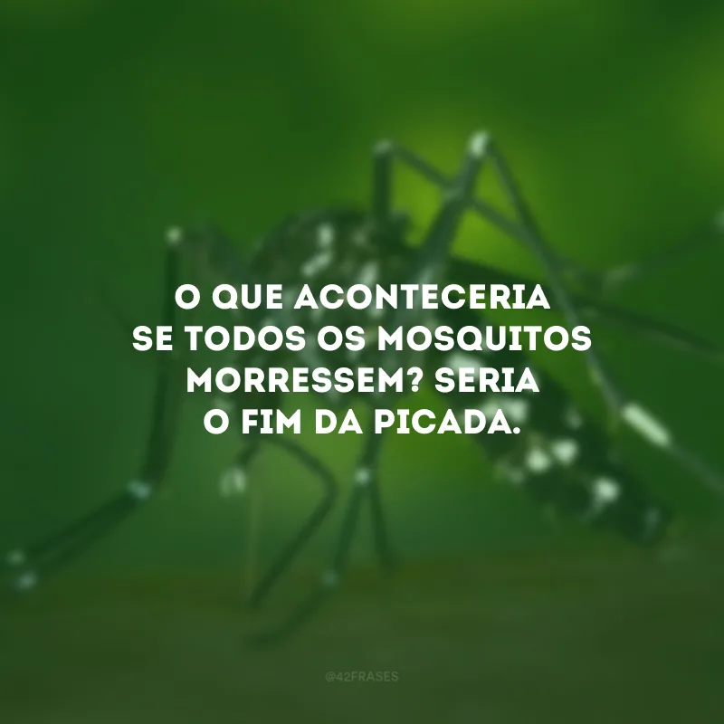 O que aconteceria se todos os mosquitos morressem? Seria o fim da picada.