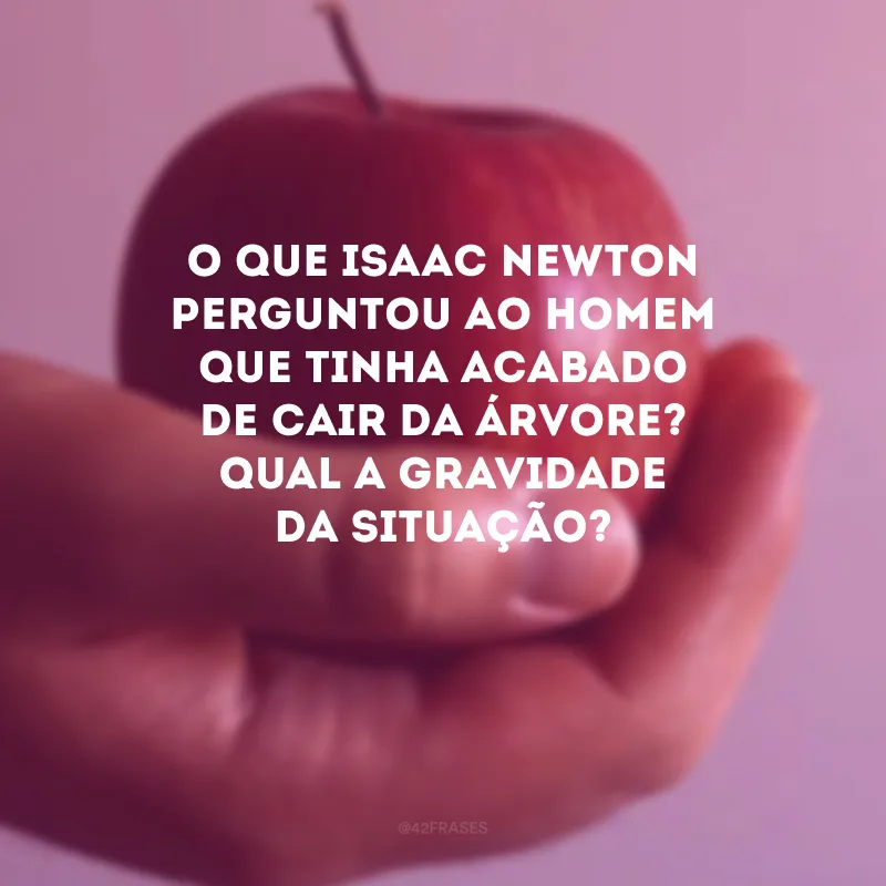 O que Isaac Newton perguntou ao homem que tinha acabado de cair da árvore? Qual a gravidade da situação?