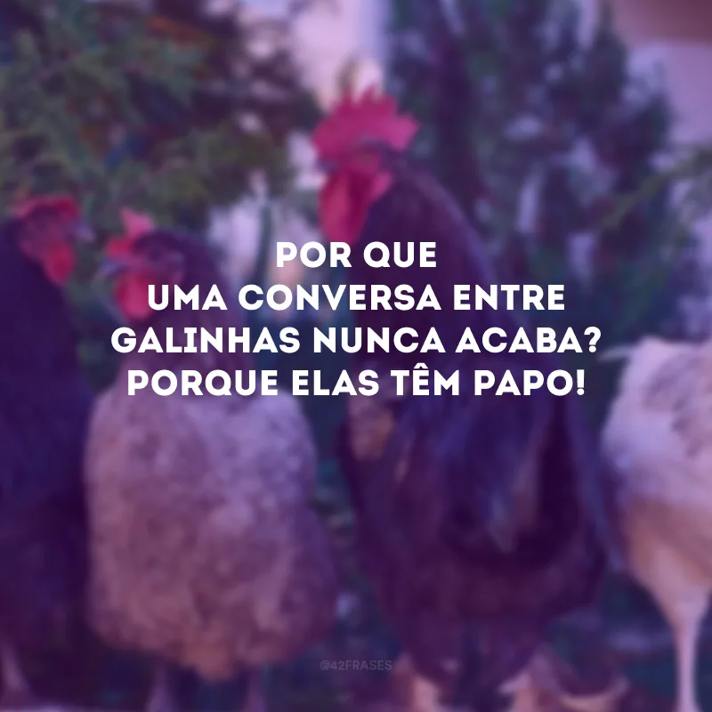 Por que uma conversa entre galinhas nunca acaba? Porque elas têm papo!