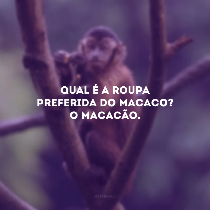 Qual é a roupa preferida do macaco? O macacão.