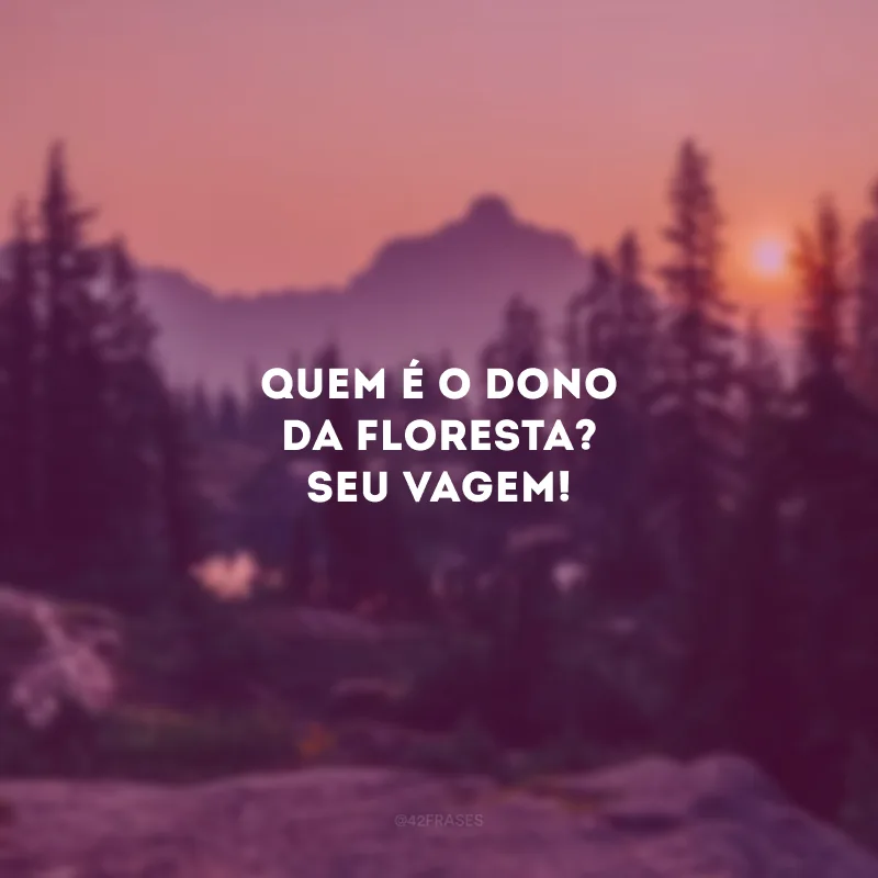 Quem é o dono da floresta? Seu Vagem!
