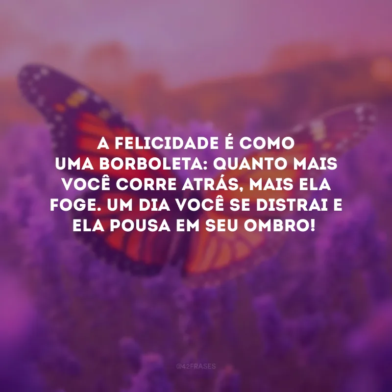 A felicidade é como uma borboleta: quanto mais você corre atrás, mais ela foge. Um dia você se distrai e ela pousa em seu ombro!
