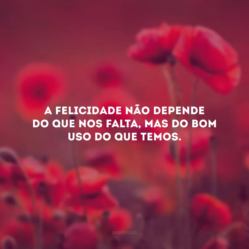 A felicidade não depende do que nos falta, mas do bom uso do que temos.
