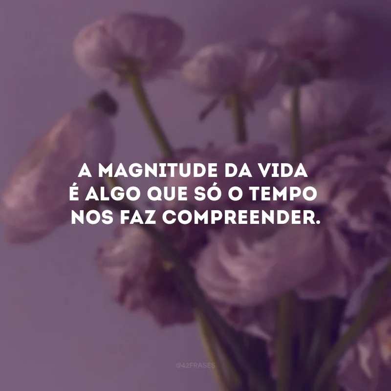 A magnitude da vida é algo que só o tempo nos faz compreender. 