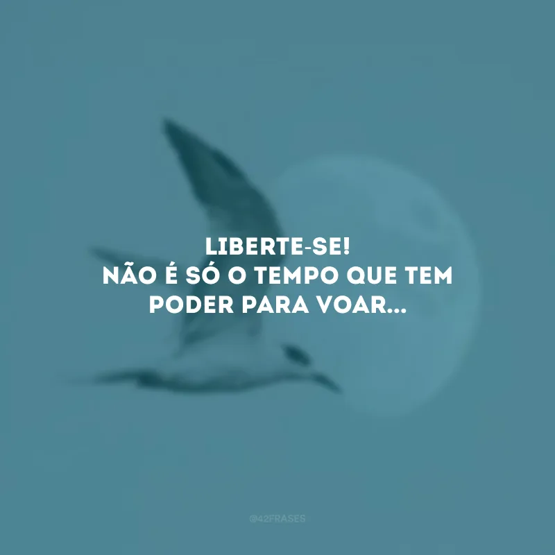 Liberte-se! Não é só o tempo que tem poder para voar...