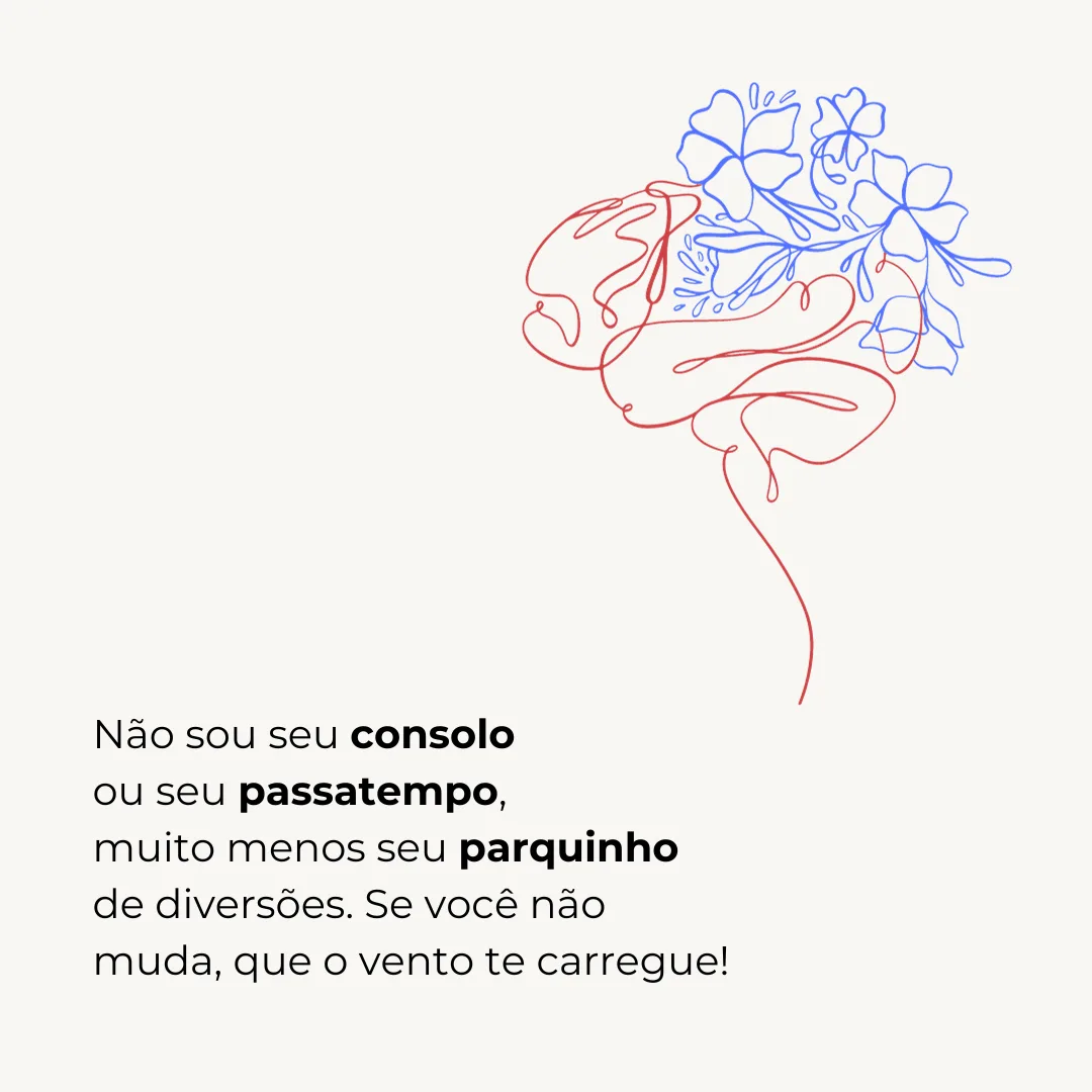 Não sou seu consolo ou seu passatempo, muito menos seu parquinho de diversões. Se você não muda, que o vento te carregue!