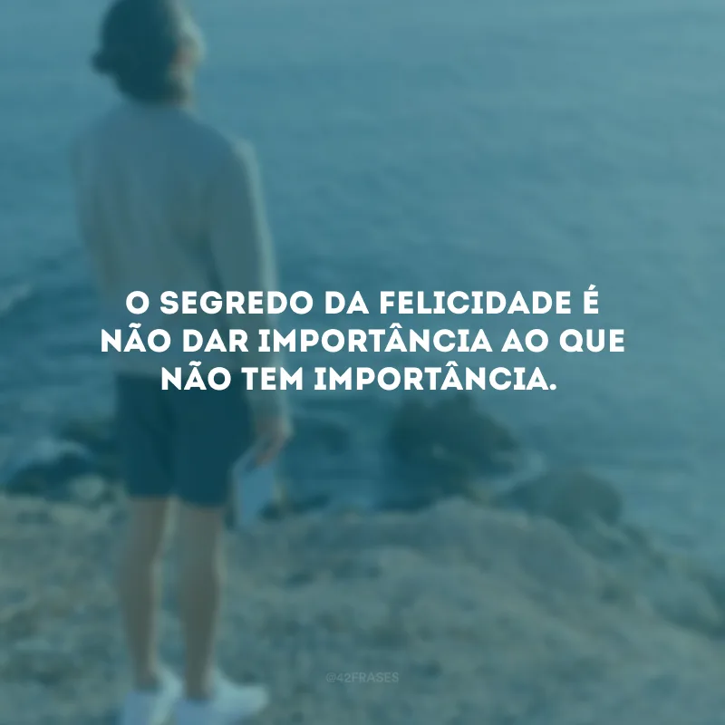 O segredo da felicidade é não dar importância ao que não tem importância.
