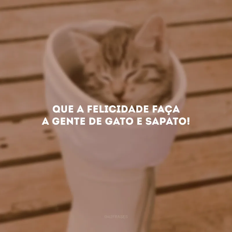 Que a felicidade faça a gente de gato e sapato!
