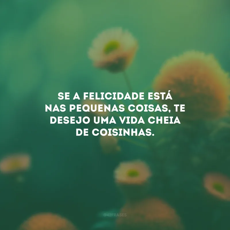 Se a felicidade está nas pequenas coisas, te desejo uma vida cheia de coisinhas.
