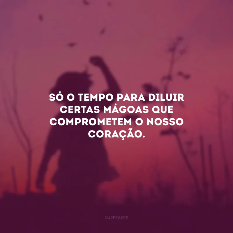 Só o tempo para diluir certas mágoas que comprometem o nosso coração.