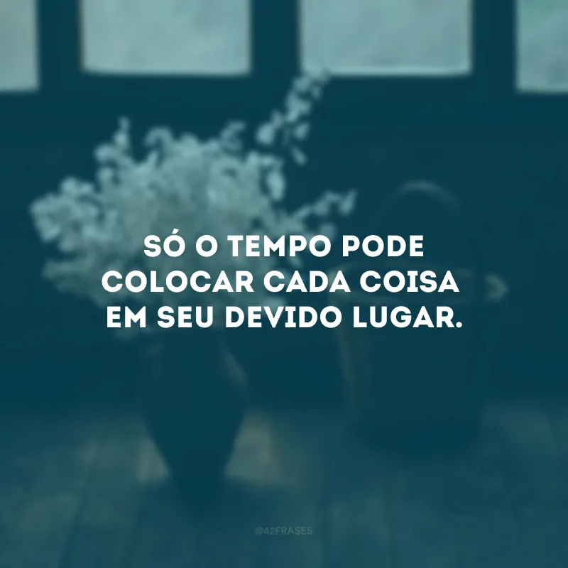 Só o tempo pode colocar cada coisa em seu devido lugar. 
