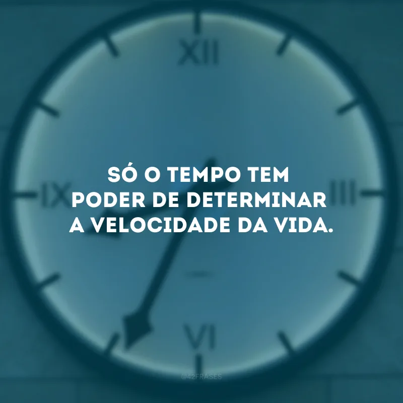Só o tempo tem poder de determinar a velocidade da vida. 