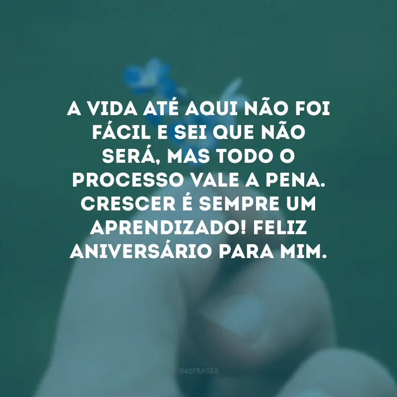 A vida até aqui não foi fácil e sei que não será, mas todo o processo vale a pena. Crescer é sempre um aprendizado! Feliz aniversário para mim.