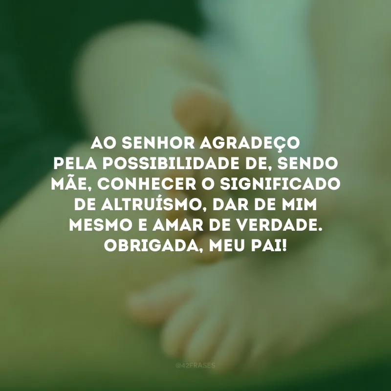 Ao Senhor agradeço pela possibilidade de, sendo mãe, conhecer o significado de altruísmo, dar de mim mesmo e amar de verdade. Obrigada, meu Pai!