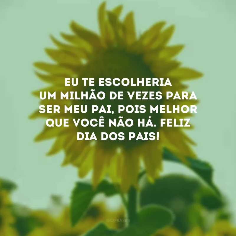 Eu te escolheria um milhão de vezes para ser meu pai, pois melhor que você não há. Feliz Dia dos Pais! 